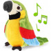 Interaktívny hovoriaci papagáj