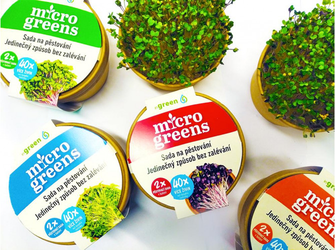 Microgreens - kúzelná záhradka, mikro bylinky - 2x semienka reďkovka
