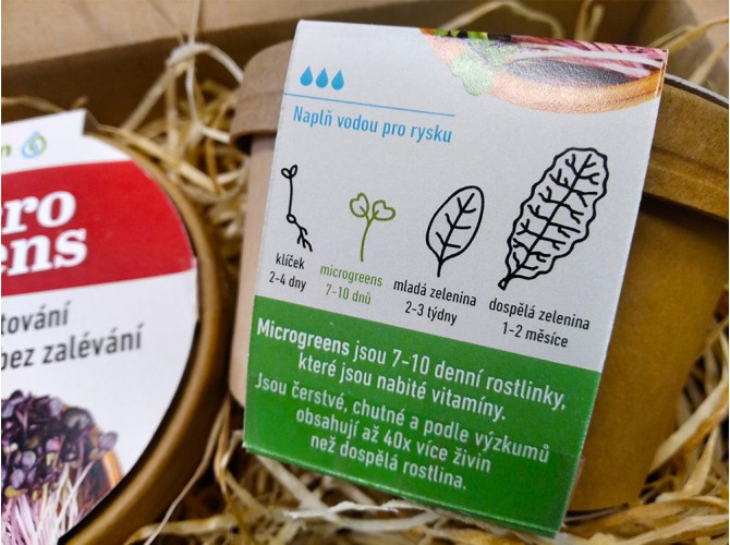 Microgreens - kúzelná záhradka, mikro bylinky - 2x semienka horčica biela